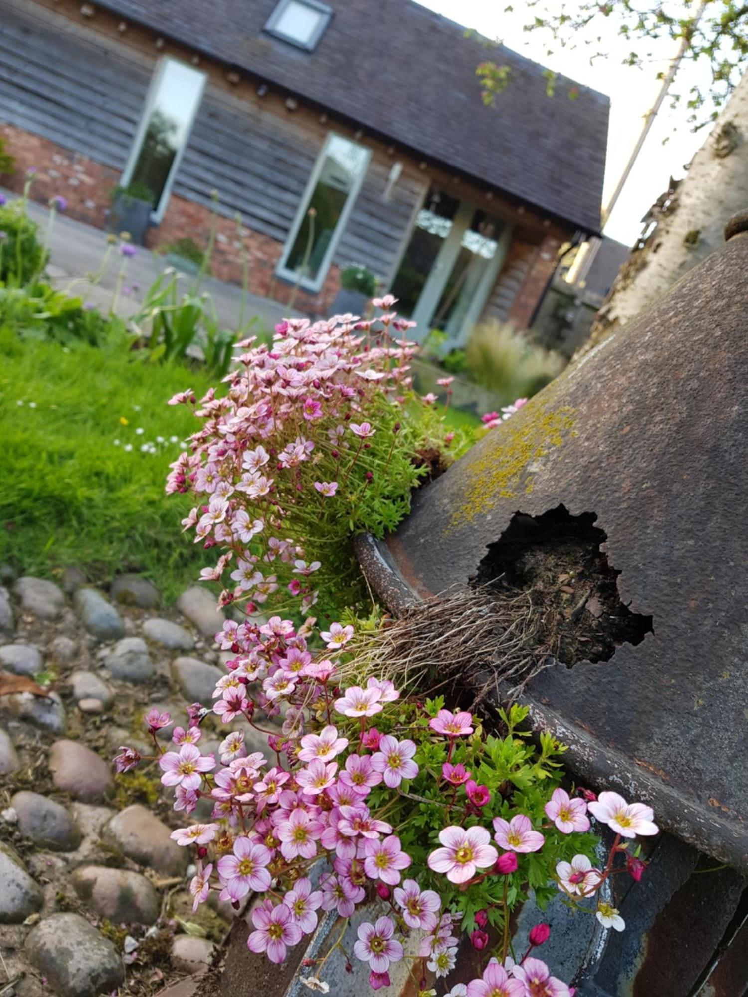 The Dorm Bed And Breakfast Eccleshall Exterior photo